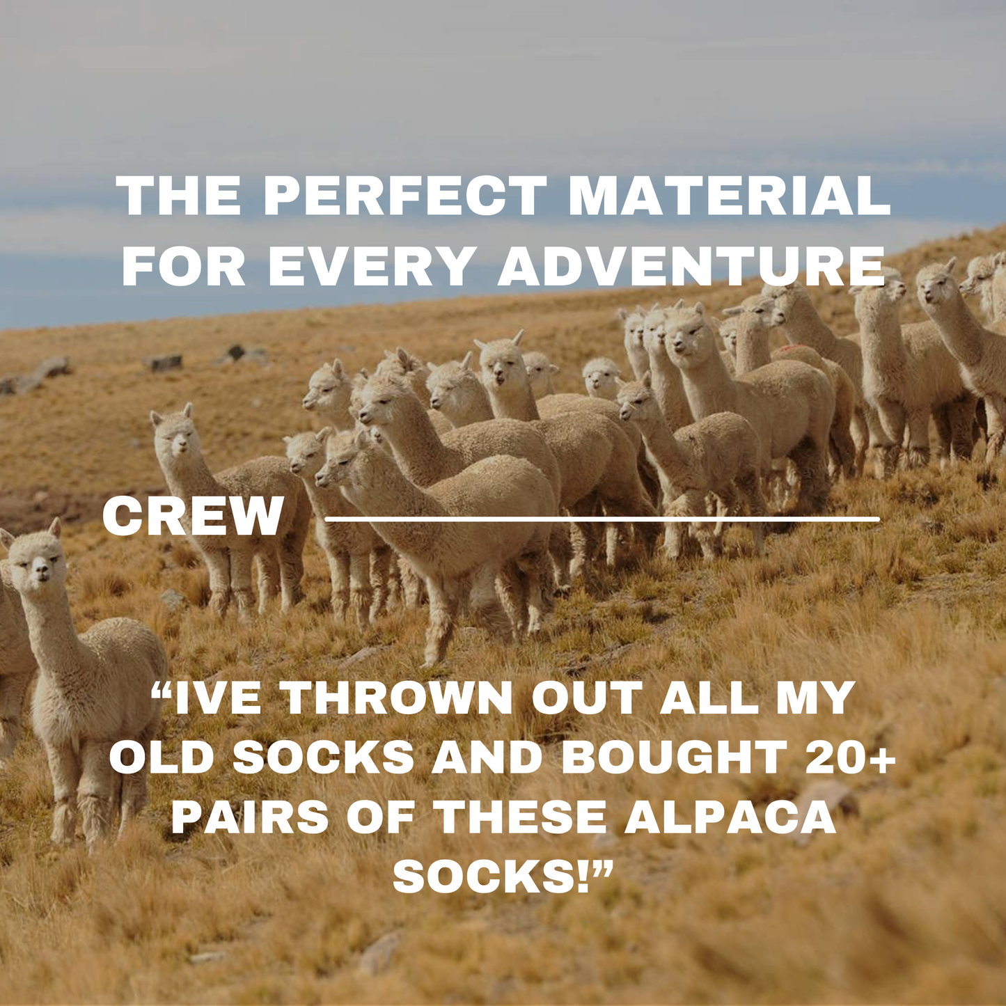 Crew Socks Multi-Colour Packs