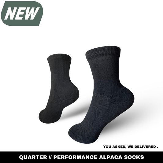 Quarter Socks