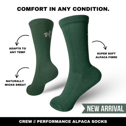 Crew Socks
