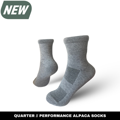 Quarter Socks
