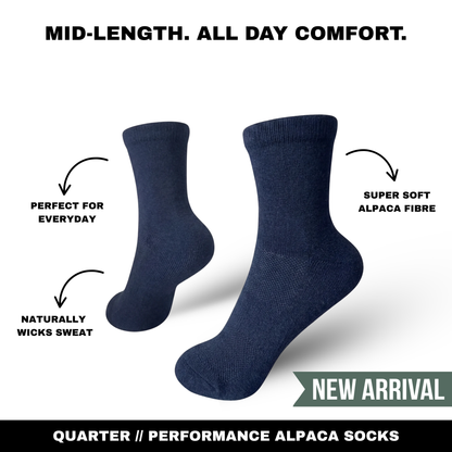 Quarter Socks
