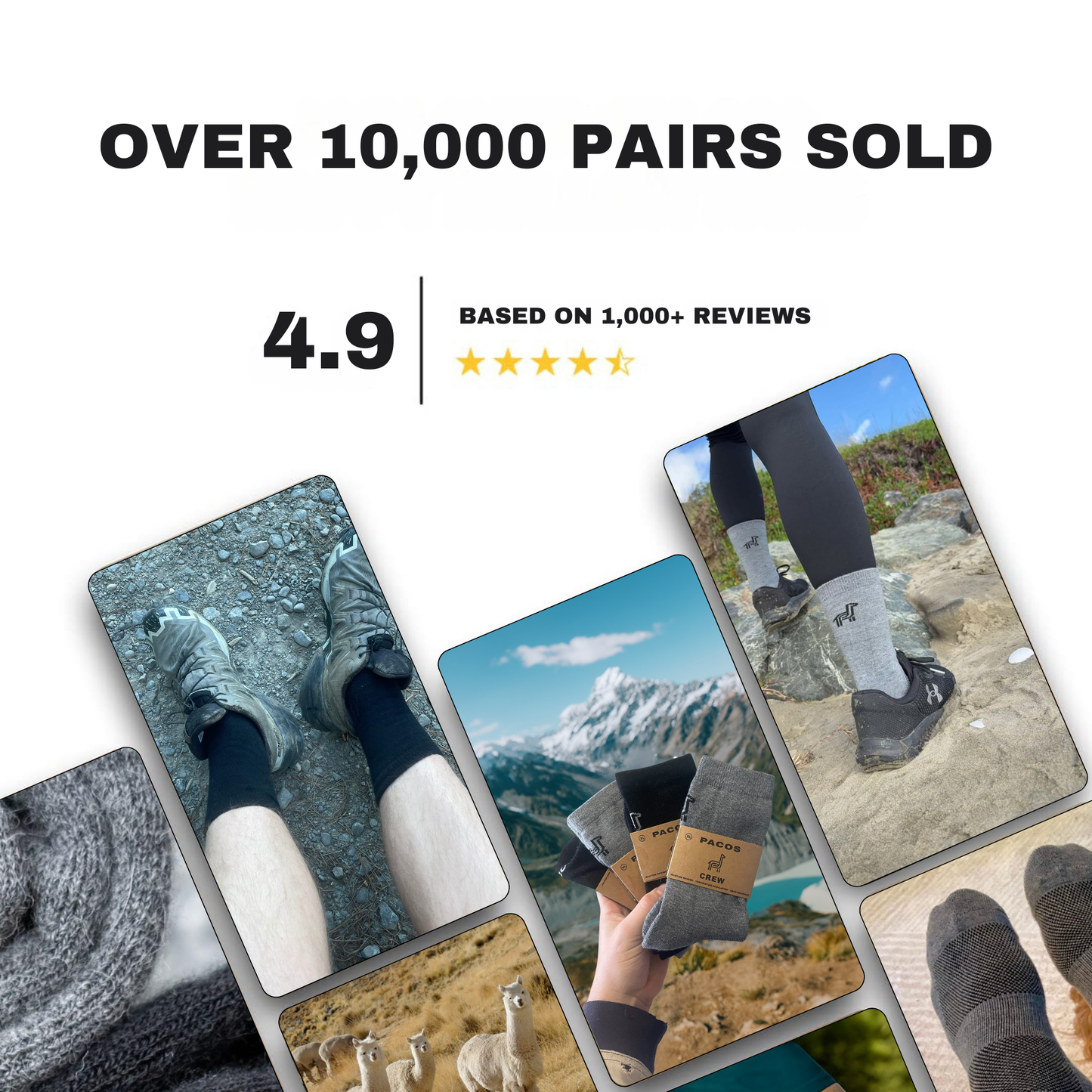 Crew Socks Multi-Colour Packs