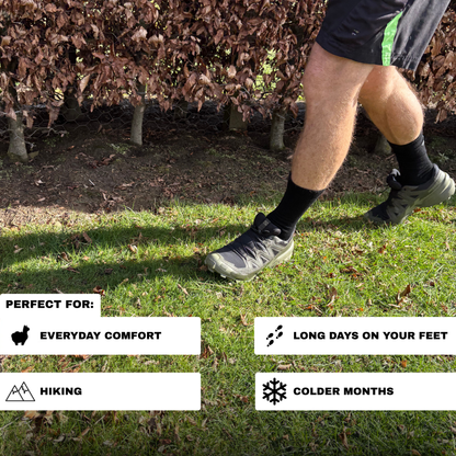 Buy 6, Get 3 Free Bundle